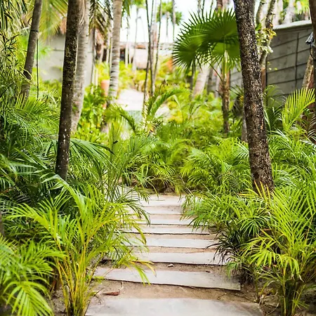 Phoenix Tulum