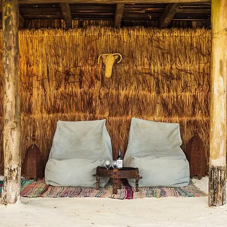 Phoenix Tulum
