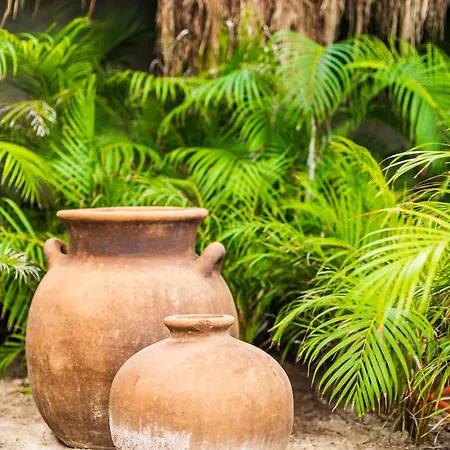 Phoenix Hotel Tulum