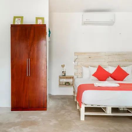 Casa Toloc 4*