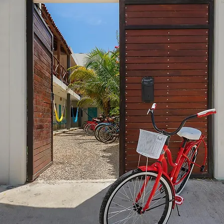 Casa Toloc