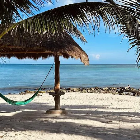 Tankah Sunrise Sanctuary - Reef & Oceanfront