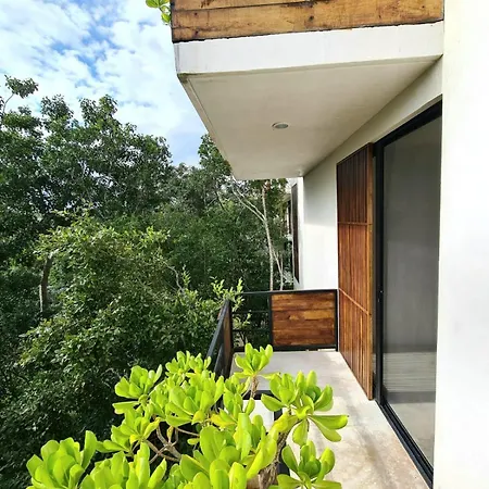 Apartment Cozy Ph Private,romantic,roof,pool And Best Location