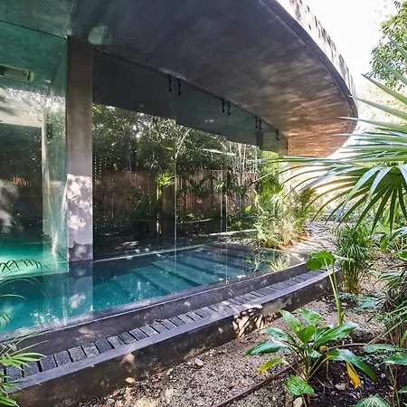 Apartment Cozy Ph Private,romantic,roof,pool And Best Location