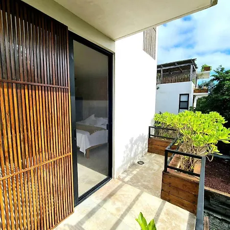 Apartment Cozy Ph Private,romantic,roof,pool And Best Location Tulum