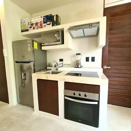 Cozy Ph Private,romantic,roof,pool And Best Location * Tulum