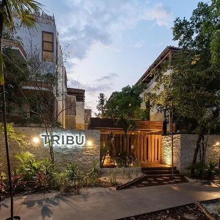Cozy Ph Private,romantic,roof,pool And Best Location Apartment