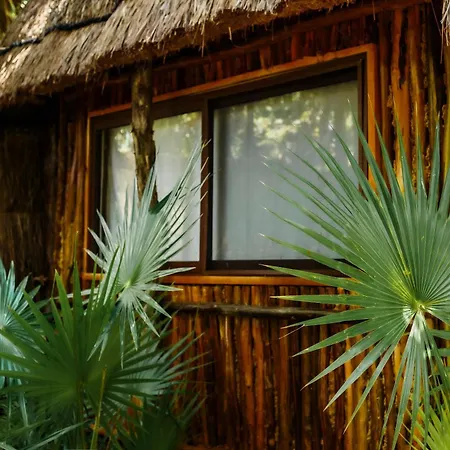 Eco Banitas *