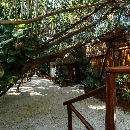 Eco Banitas * Tulum