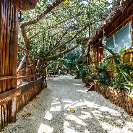 Hotel Eco Banitas