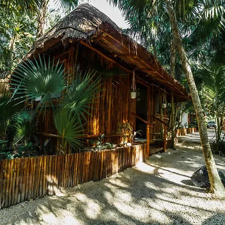 Eco Banitas Hotel *