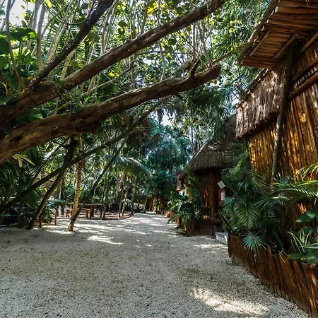 Eco Banitas *