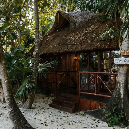 Eco Banitas Hotel