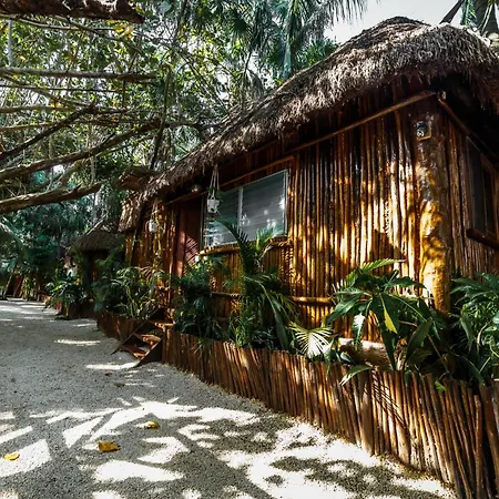 Eco Banitas Hotel *