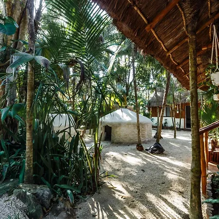 Hotel Eco Banitas *