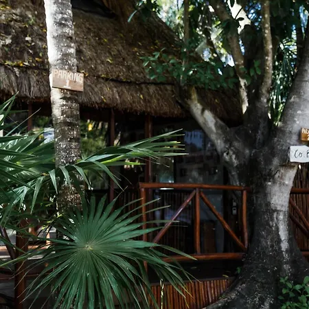 Hotel Eco Banitas *