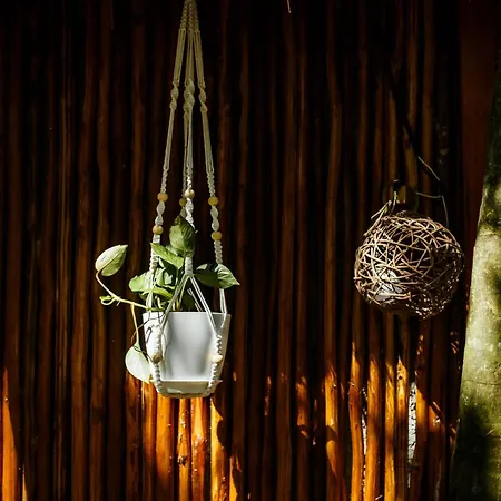 Eco Banitas Hotel *