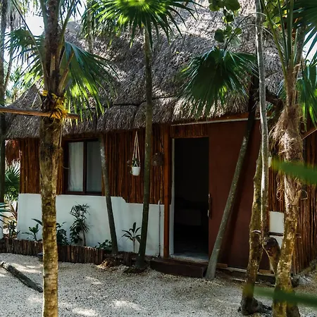 Eco Banitas