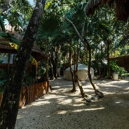 Eco Banitas *