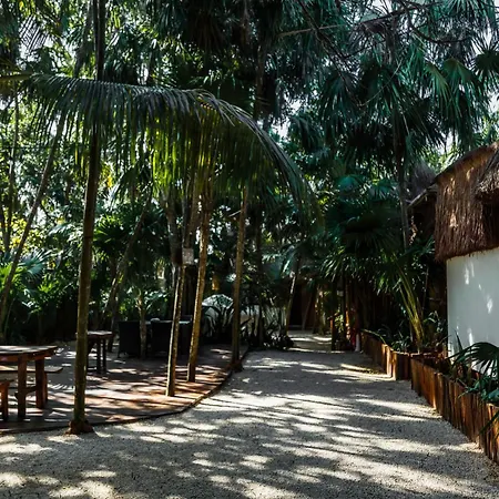 Hotel Eco Banitas *
