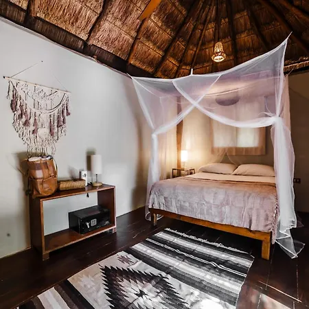 Eco Banitas Hotel *