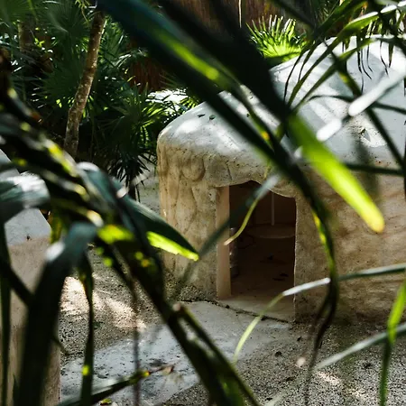 Eco Banitas