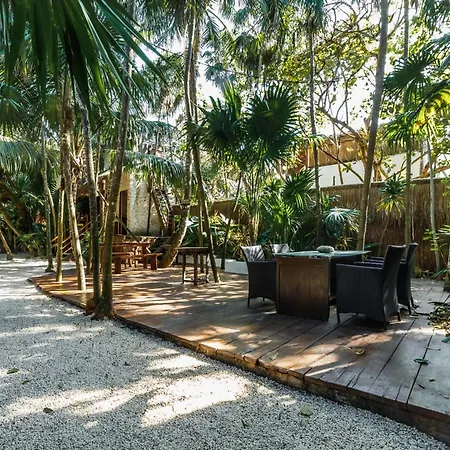 Eco Banitas Hotel