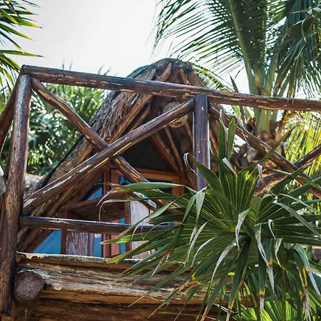 Eco Banitas Hotel *