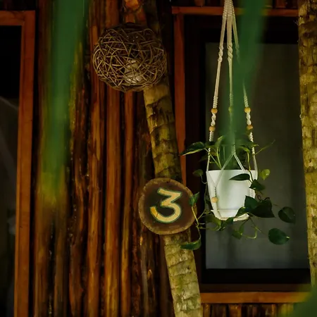 Eco Banitas Hotel *