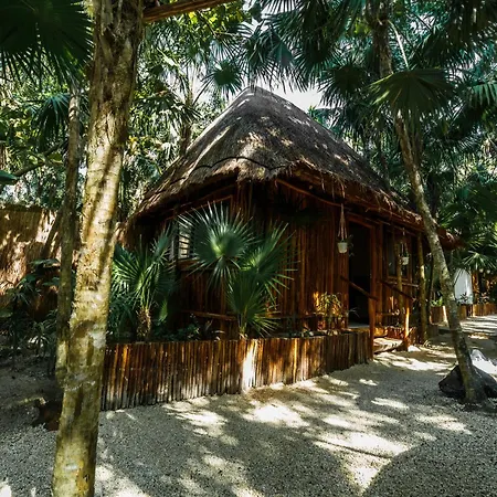 Eco Banitas *