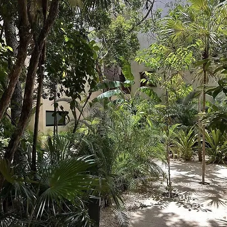 Apartment 1 Bedroom Ophelia 220 *