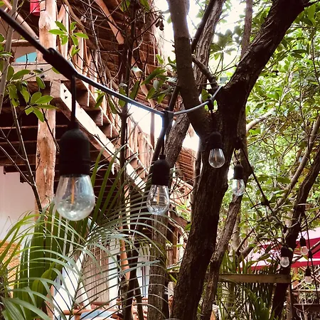 - Aldea Mangle & Cenote * Tulum