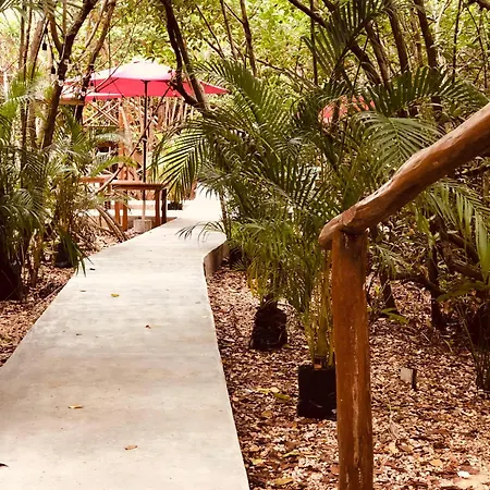 - Aldea Mangle & Cenote Lodge *
