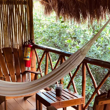 - Aldea Mangle & Cenote Tulum