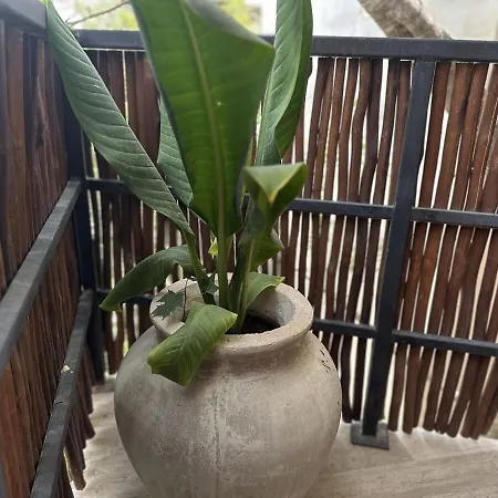 Studio In Ophelia E3 Tulum