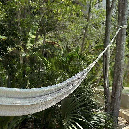 Apartment Studio In Ophelia B6 Tulum