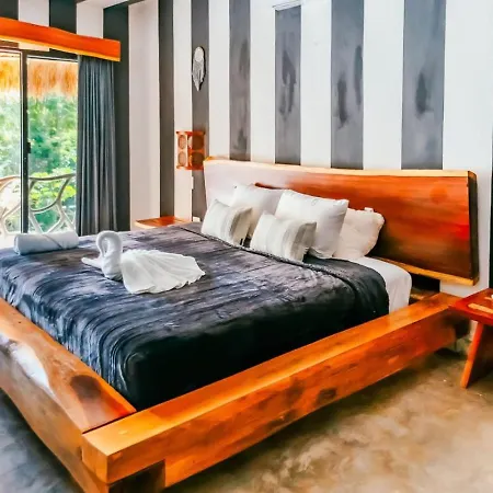 Apartment Modern Comfort In Tulums Core Rooftop Pool Oasis Tulum
