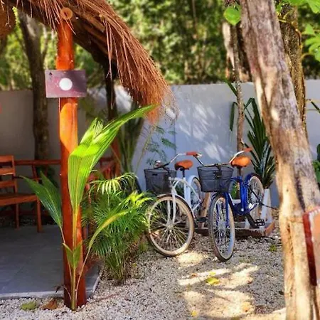 Kin Jungle Deluxe Guest house 4*
