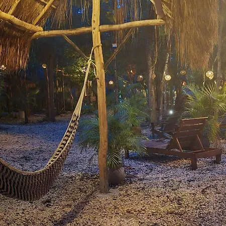 Kin Jungle Deluxe Guest house