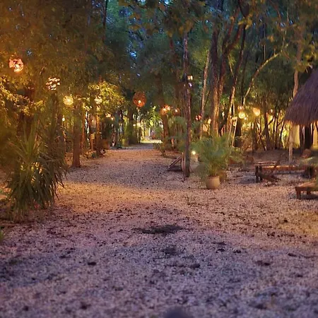 Guest house Kin Jungle Deluxe