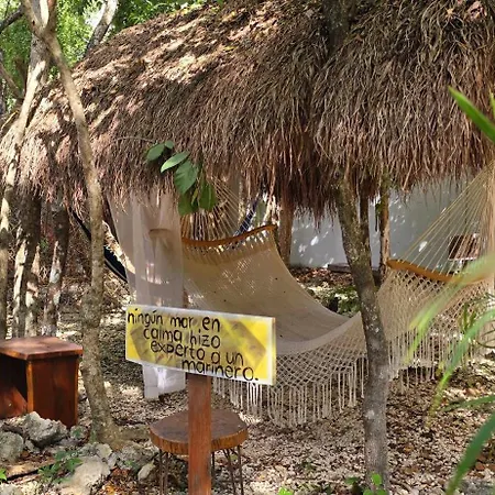 Guest house Kin Jungle Deluxe 4*