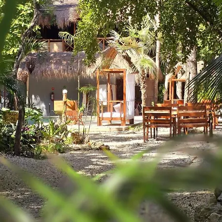 Kin Jungle Deluxe Guest house Tulum