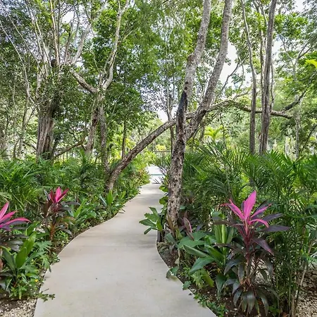 Luxurious At Mistiq Temple Ii Loft And Penthouse Tulum