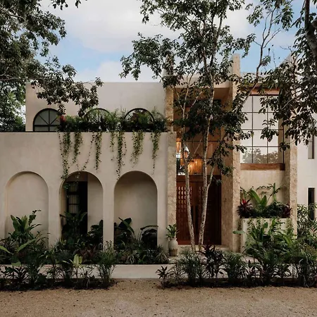 Casa Colina Stunning Pool - Rooftop Holiday home