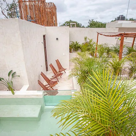 Calma Jungle Apartamento