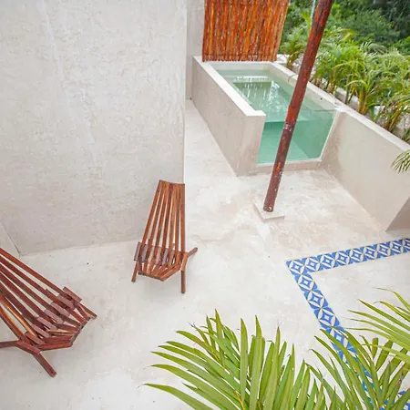 Apartamento Calma Jungle *