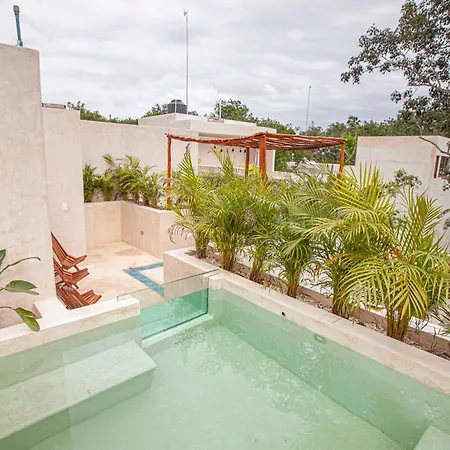 Calma Jungle Apartamento *