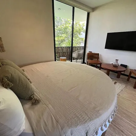Apartment Studio In Ophelia H9
