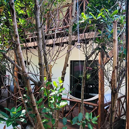 - Aldea Mangle & Cenote Lodge *