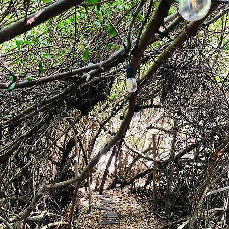 - Aldea Mangle & Cenote